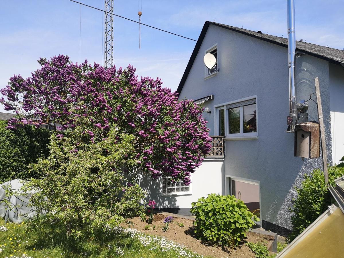 Ferienwohnung Vulkaneifel Mehren  Exterior foto